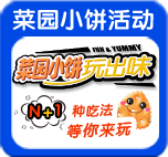 菜园小饼活动