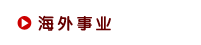 海外事业